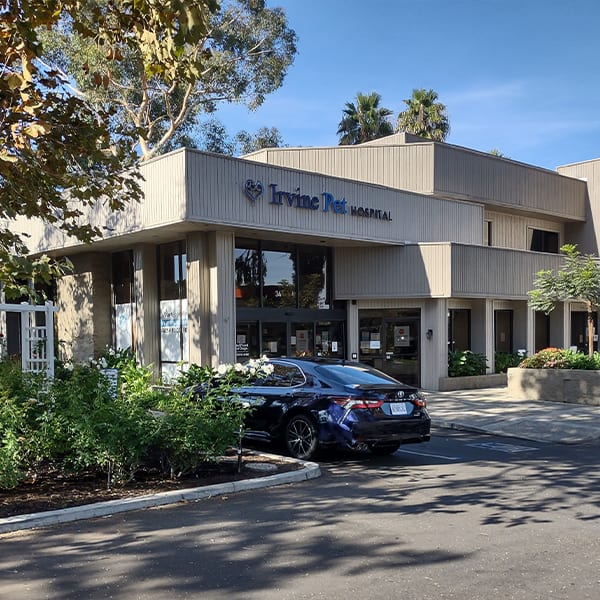 Irvine Pet Hospital in Irvine