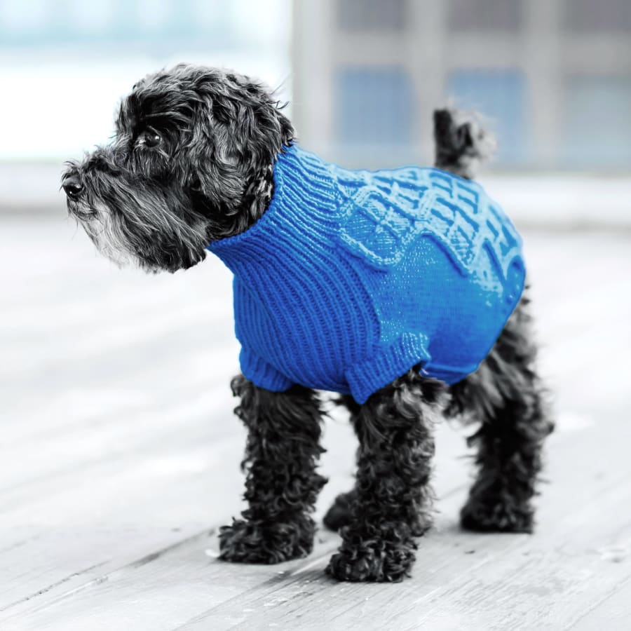 Vet dermatologist near best sale me