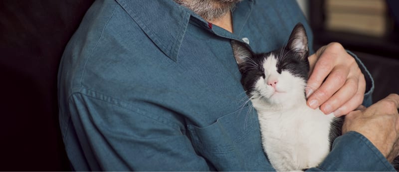 Caring Connection: Man Tenderly Holding and Petting a Cat at Irvine Pet Hospital