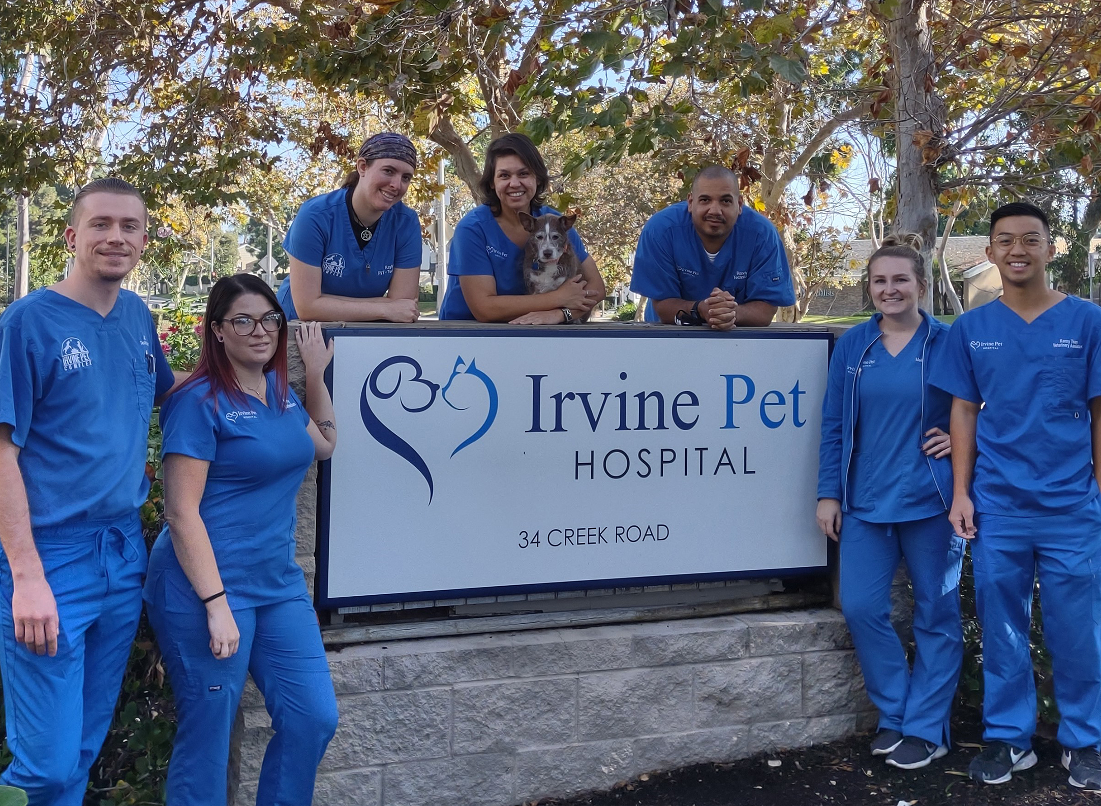 Irvine pet hospital | Technician team